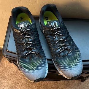 Nike Zoom Pegasus 33